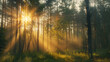 Golden sunrise breaks through a misty forest, illuminating trees and serene landscape