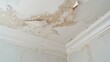 © TensorSpark - Water damage repair, showcasing a damaged and stained white ceiling with visible water marks and peeling paint, indicating the need for restoration.