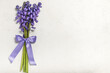 Bouquet of spring Scilla siberica on a white background.Greeting card.