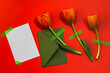 Three red tulips taped on a red background, a green envelope and a blank white card taped. Greeting card, invitation.