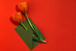 Concept for congratulations on Women's Day, Mother's Day, Birthday and Valentine's Day. Two red tulips in a green envelope on a red background.