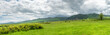 Green grass on the field and green mountains, cloudy gray sky. Panoramic natural spring background.