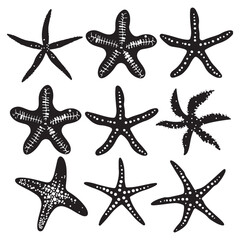 Wall Mural - Starfish vector silhouette. Atlantic star animal icon set