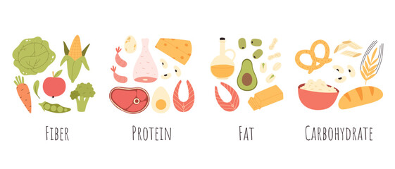 Set of healthy macronutrients. proteins, fats and carbs or carbohydrates presented by food products. Flat vector illustration of nutrition categories isolated on white background