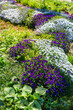 Colorful flowerbeds in a garden or park