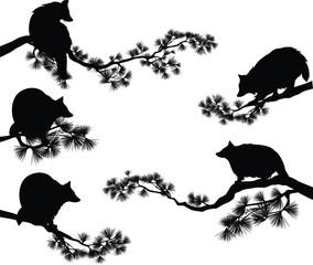 Wall Mural - wild raccoon (procyon lotor) black and white design set - sitting, walking, crawling animal on long 