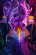 Macro photograph of a vibrant purple iris flower, showcasing its unique shape and intricate details.