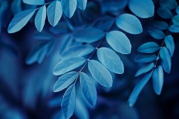 Wall Mural - blue leaves of plants on a blue background