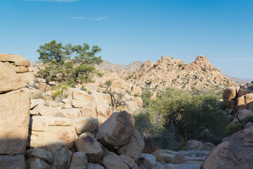 landscape in the desert