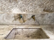 Vintage Marble Sink with Rustic Brass Faucets