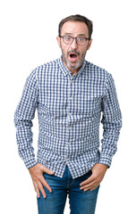 Wall Mural - Handsome middle age elegant senior man wearing glasses over isolated background afraid and shocked with surprise expression, fear and excited face.