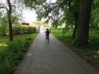 a child rides a bicycle on a cobblestone sidewalk. a six-year-old boy rides a bicycle in a park unde