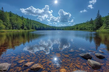 Wall Mural - magnificent lake in the middle of the forest professional photography