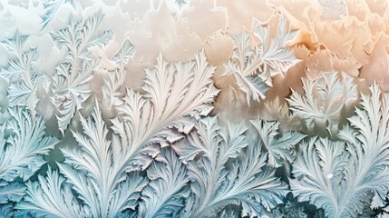 Poster - Intricate frost patterns resembling feathers and ferns spread across a glass pane in the soft morning light.