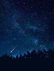 Wall Mural - Dreamy Silhouette of a Shooting Star against a Midnight Blue Sky