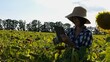 Female agronomist using digital tablet at sunflower meadow at sunny day. Farmer monitoring harvest at flower field at sunset. Beautiful scenic landscape. Concept of agricultural business. Slow mo