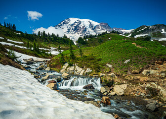 Poster - Summer Rainier