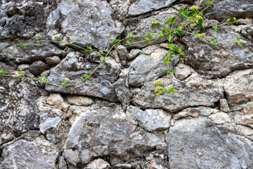 texture of old stone brick wall in city, stone wall texture,