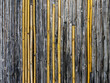 Floor made with old and new reed stems. Bamboo fence background.  .Background of reed. Traditional fence made of bamboo reed. The texture of the dry reeds. Dry grass or cane. Natural textures.