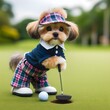 A dog playing golf.
Generative ai.