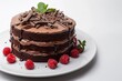Decadent Chocolate Cake with Mint and Raspberry Garnish
