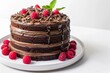 Towering Decadent Chocolate Cake with Mint Garnish