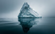 An iceberg floating in the ocean