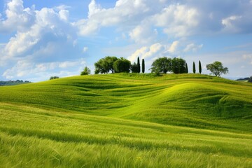 Wall Mural - Farm Hills in Tuscany. Green Rural Landscape with Cypress Trees in Italian Summer Meadow