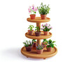 Wooden tiered gardening shelf with potted summer herbs and flowers on a white background. Different plants on wooden 3 tier standing planter. Home gardening hobby concept.