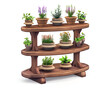 Wooden tiered gardening shelf with potted summer herbs and flowers on a white background. Different plants on wooden 3 tier standing planter. Home gardening hobby concept.