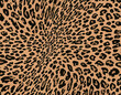 Jaguar muster textur 