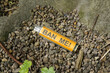 © Bennphoto - A discarded vape mock-up with the words 'BAN ME' written on the inside shell.