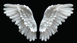 white angel wings isolated on black background