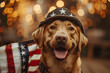 © Алина Троева - Funny patriotic dog in hat with American flag and fireworks on background, 4 July Independence Day celebration.