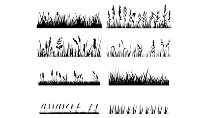 vector set of black grass silhouettes on white background. nature illustration summer design and gar