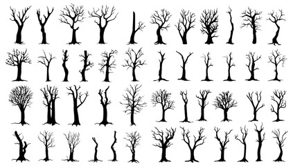 bare trees silhouettes set. vector illustration outline forest and trunk wood collection. art shape 