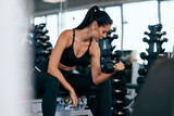 Fototapeta Pomosty - The gym girl working on her biceps, holding a dumbbell, and sitting on the bench, at the gym.