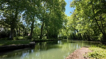 Wall Mural - Canal vert