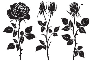 Rose silhouettes vector illustration. Black buds and stems of roses stencils isolated on white background