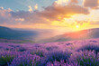 Big lavender field on sunset in mountains