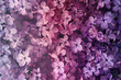 Pink and lilac flowers background with copy space