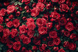 Background of red rose flowers with leaves