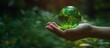 The hands hold a miniature glass Earth on a green forest background. Ecology concept. Earth Day.