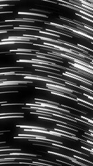Wall Mural - curve wavy particle lines moving and flowing in one direction. abstract grey color particles line mo