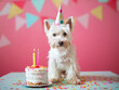 A white dog wearing a birthday hat next to a cake.