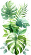 © Oksana - Watercolor tropical leaves and jungle plants isolated on white background