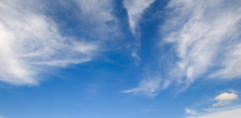 Wall Mural - Blue sky and cumulus clouds. Wide photo.