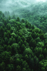 Fototapete - Poster for a documentary about forest conservation, with a green gradient background to evoke the lush environment,