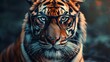 Beautiful and colored animals with glasses, tiger