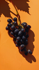 Wall Mural - A cluster of rich, dark grapes arranged elegantly on an orange background, captured in a contemporary photography style. The deep, velvety hues of the grapes create a striking contrast 